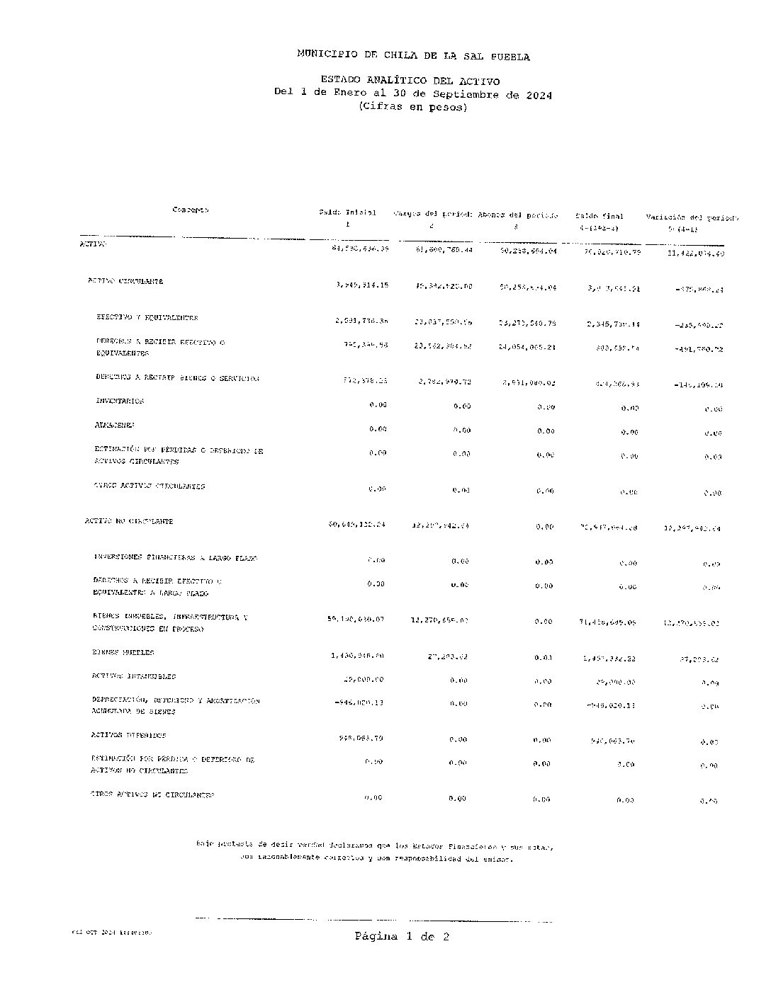 8. Estado Analitico Del Activo