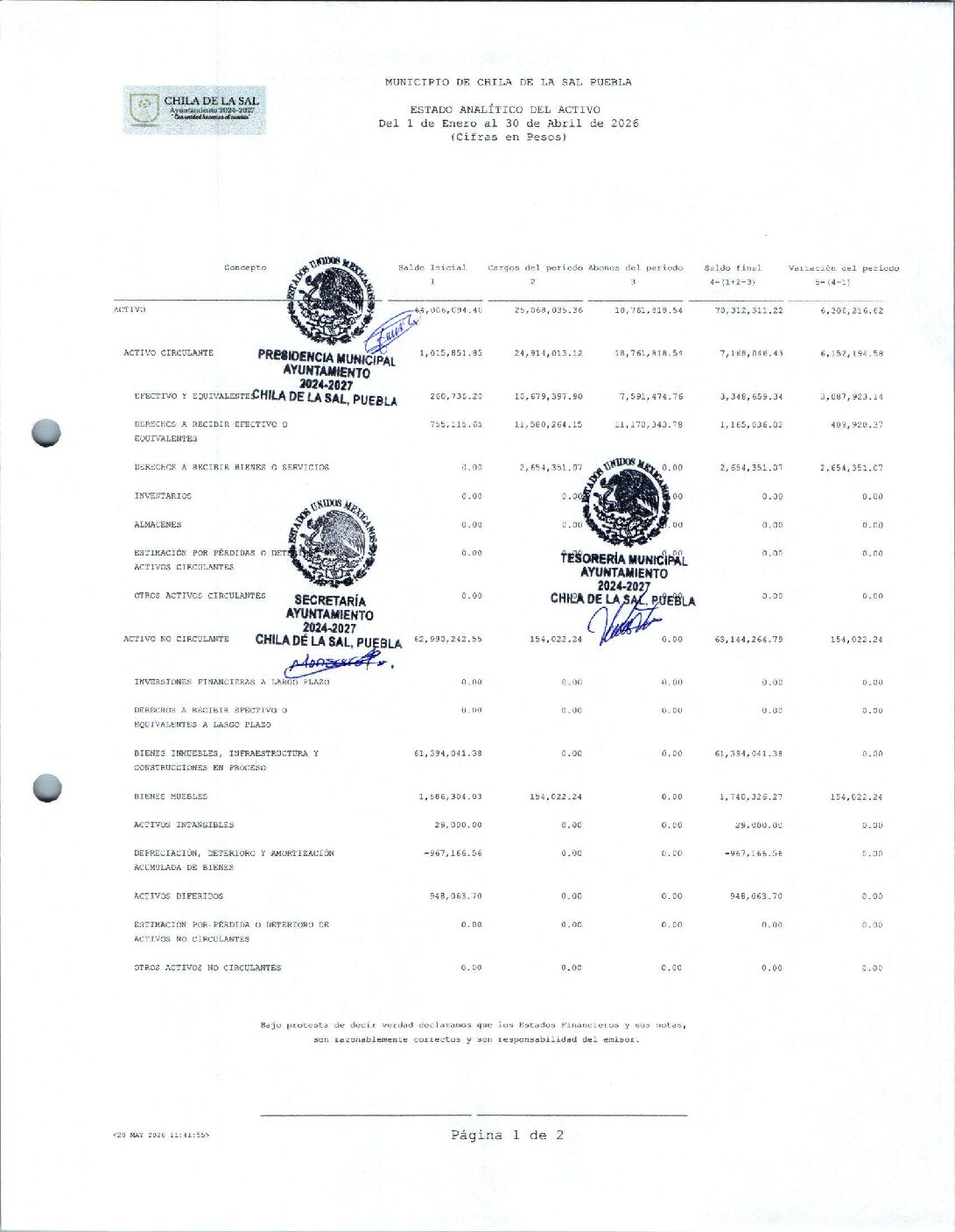 07 Estado Analitico Del Activo
